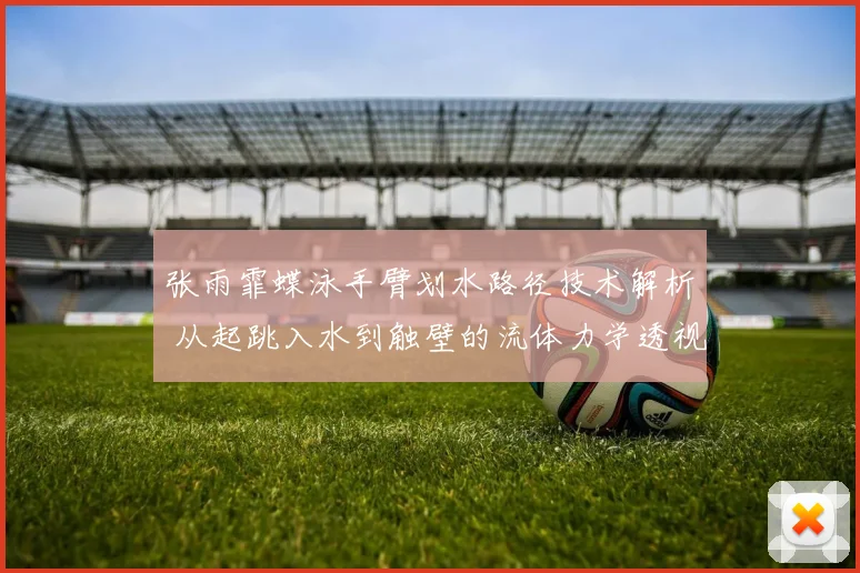 张雨霏蝶泳手臂划水路径技术解析 从起跳入水到触壁的流体力学透视